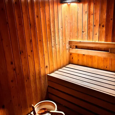 Lejlighedshotel Phoenix Wellness Apartman Panzio 4*