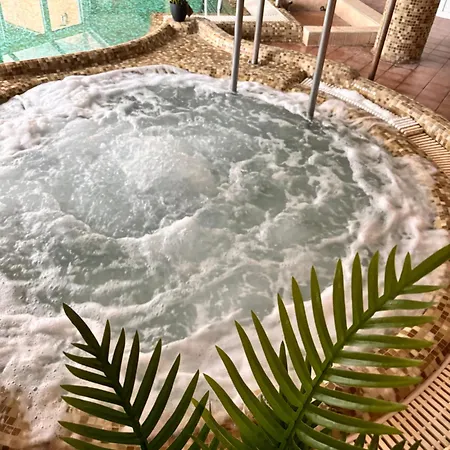 Phoenix Wellness Apartman Panzio Lejlighedshotel 4*