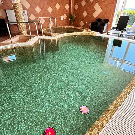 Lejlighedshotel Phoenix Wellness Apartman Panzio